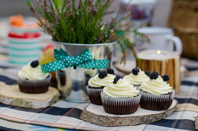 Set of Cupcakes on a picnic.